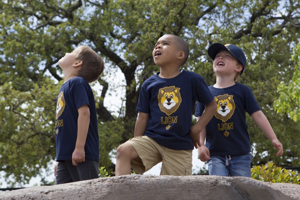 Lion cub scouts looking at the sky