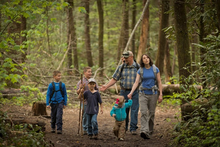 a family hiking in the woods